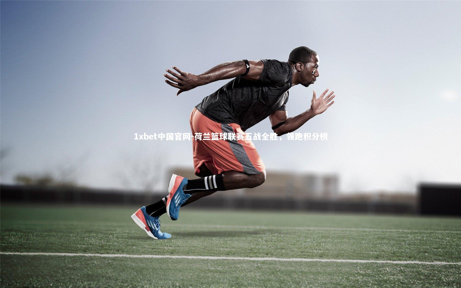 荷兰篮球联赛五战全胜,领跑积分榜