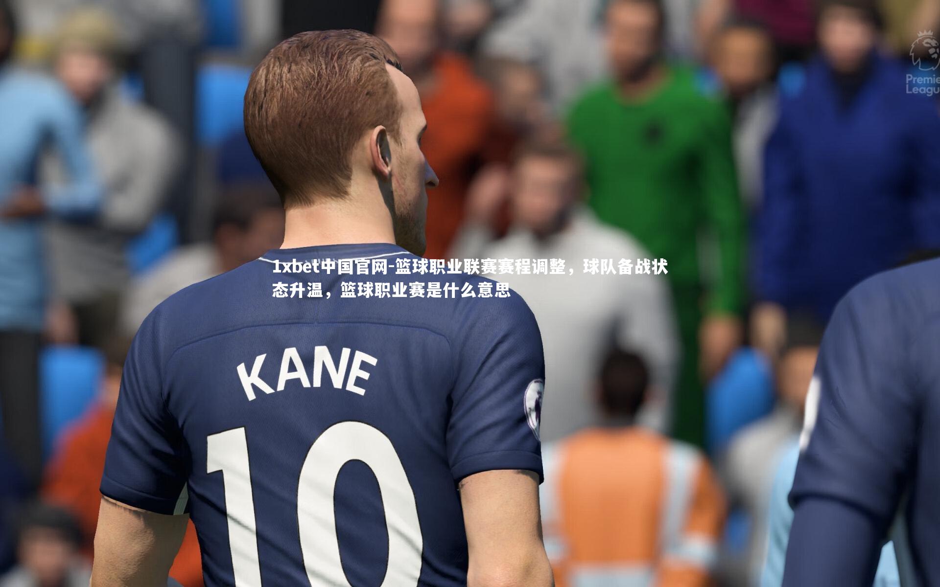 篮球职业联赛赛程调整,球队备战状态升温,篮球职业赛是什么意思