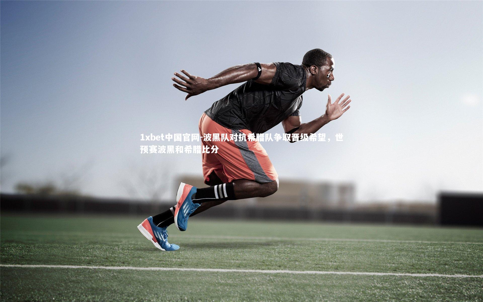 波黑队对抗希腊队争取晋级希望,世预赛波黑和希腊比分