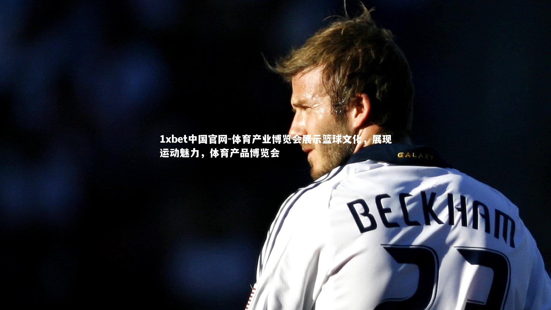 体育产业博览会展示篮球文化,展现运动魅力,体育产品博览会