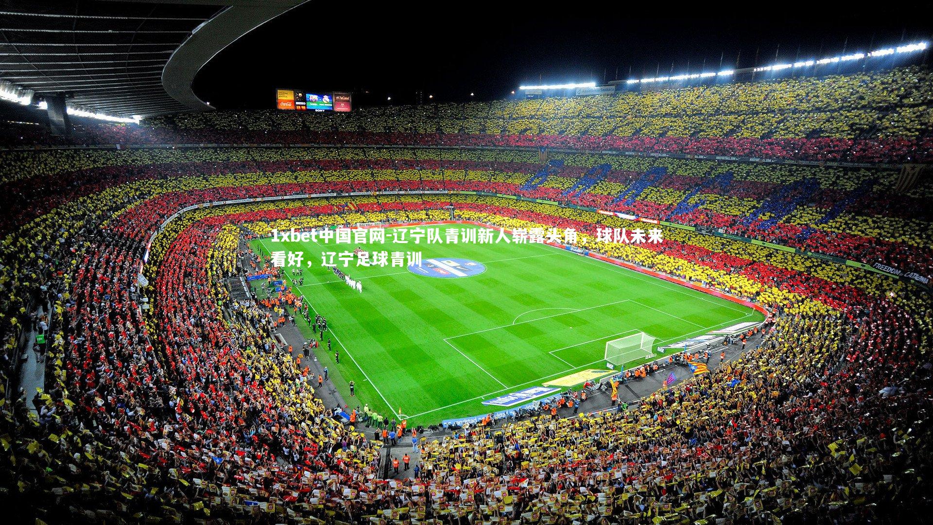 1xbet中国官网-辽宁队青训新人崭露头角，球队未来看好，辽宁足球青训