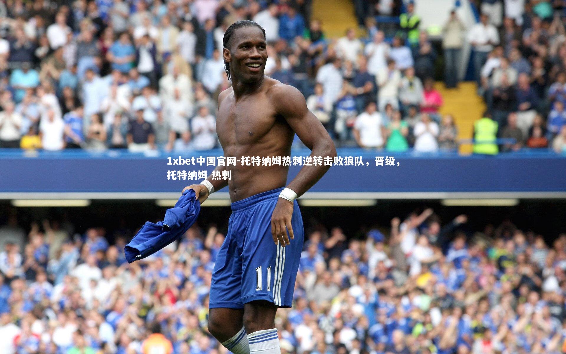 托特纳姆热刺逆转击败狼队,晋级,托特纳姆 热刺